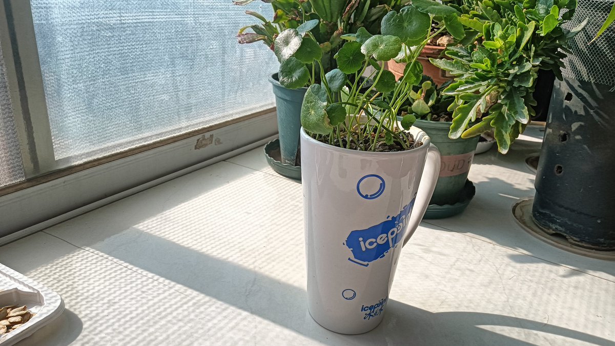 thomas0just1ins's tweet photo. Upcycled old glass jars into trendy planters for my windowsill  No fancy tools needed – just some paint and rope! #DIYHome， https://t.co/3ujEfCMBCz