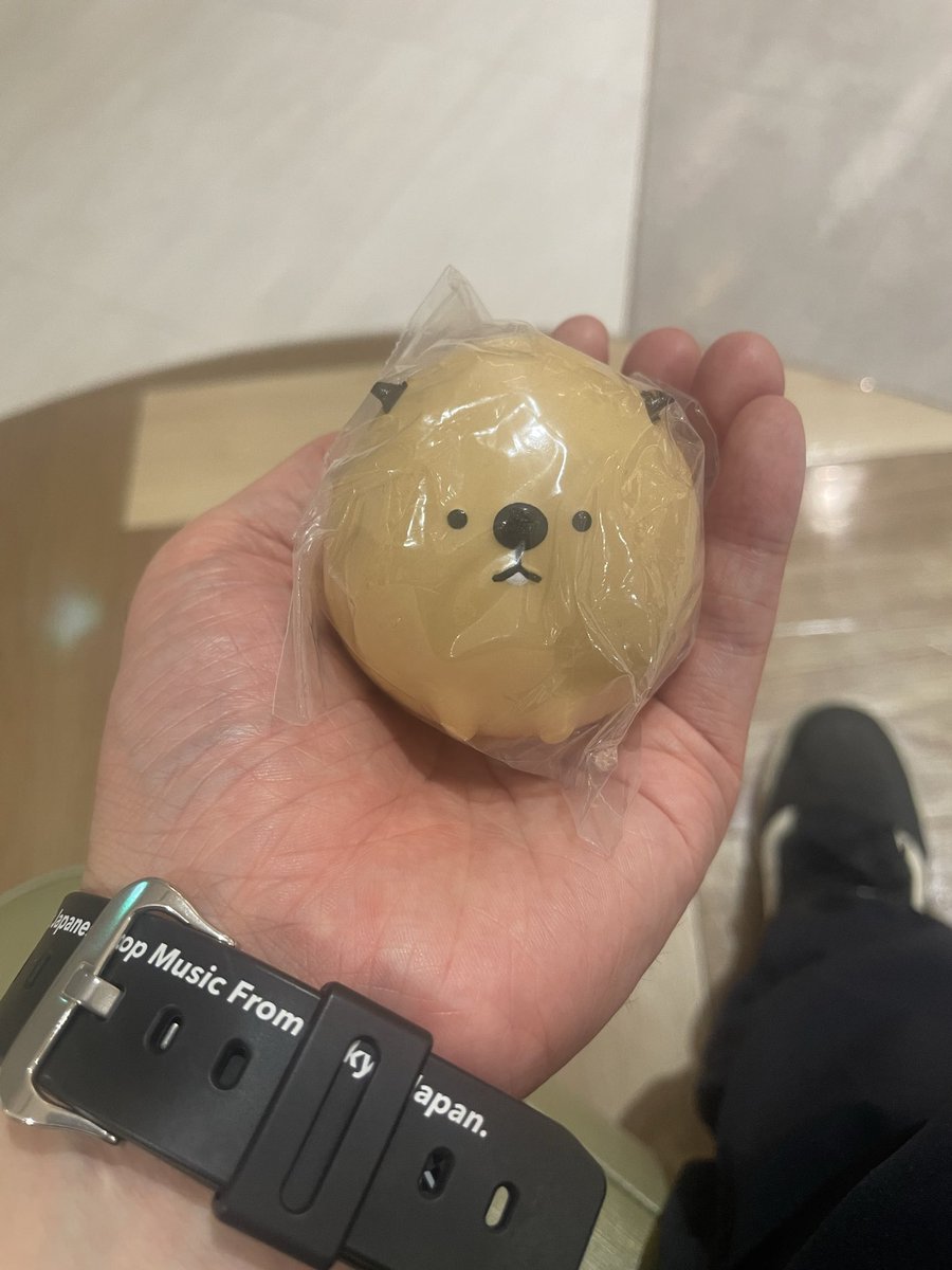 12Canvas's tweet photo. ガチャガチャ欲しかったの当たった🦫 https://t.co/EAXKui4I7g