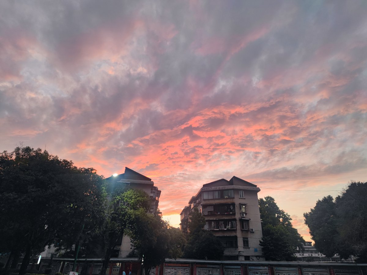 FlawlessBeautie's tweet photo. Last day on campus with my best crew—sunsets, bad jokes, and a future full of unknowns. Grad mode: activated. https://t.co/jPbvegg0Js