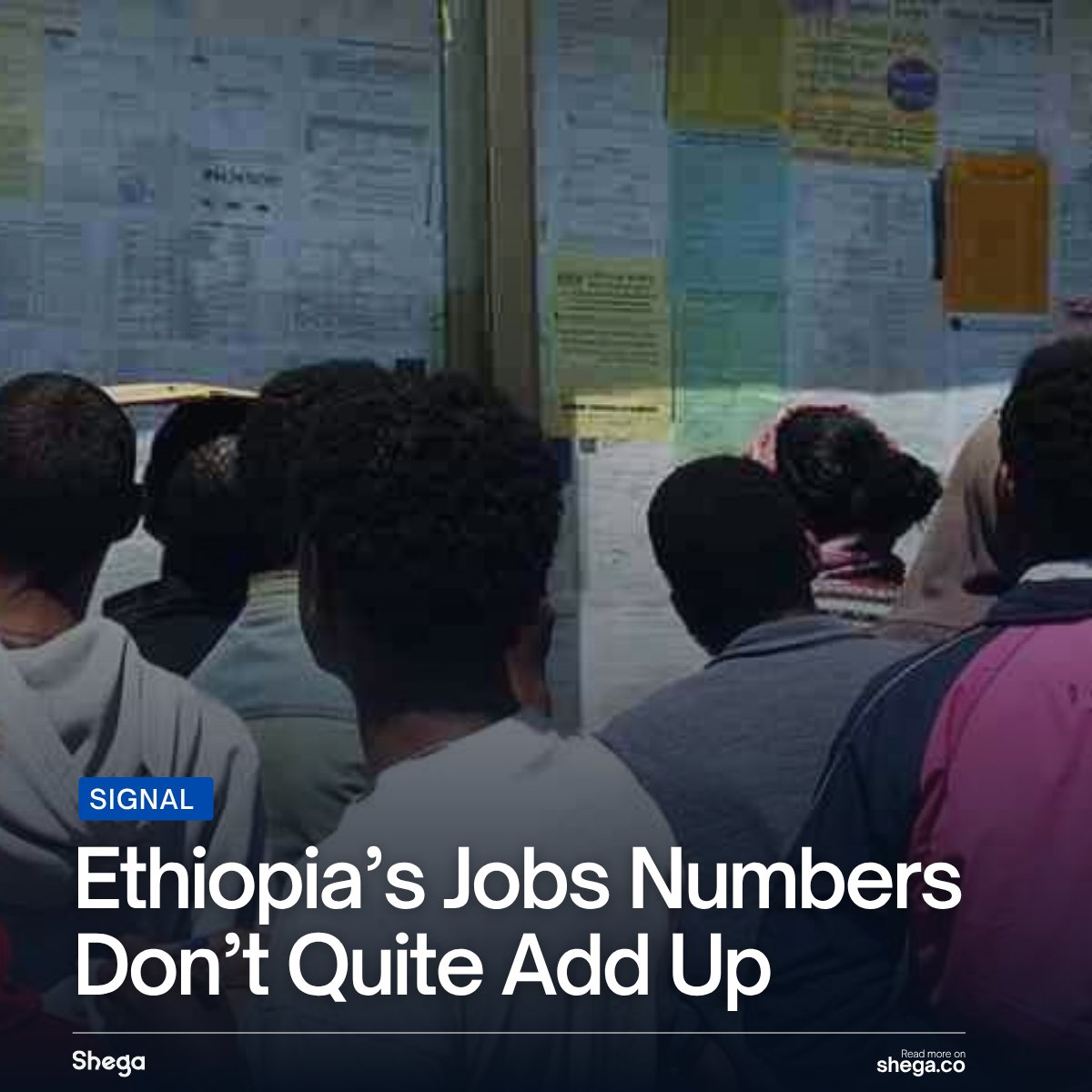 shegaHQ's tweet photo. Ethiopia’s unemployment rate is 9.6%. But with 69.4% of employment in agriculture, average weekly hours at 31 and only 22.9% of workers earning wages.

Read more.
https://t.co/g4NWF63G1C https://t.co/h0f1rJ0W2k
