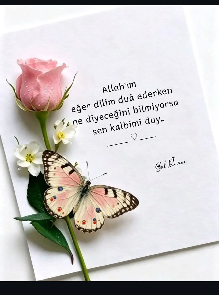 hatice_balci's tweet photo. https://t.co/whvaGe7PI6