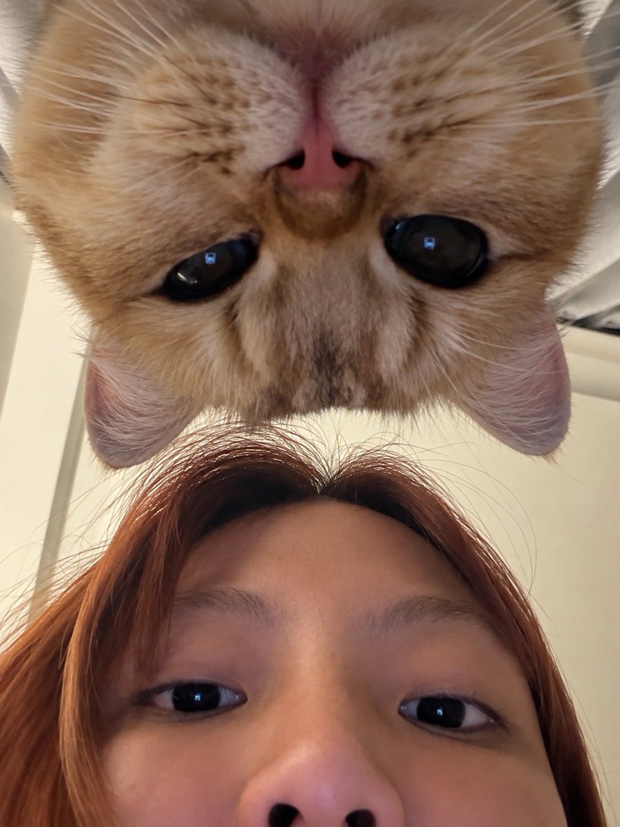 dinoaom1's tweet photo. •_< https://t.co/CUVa88yzOv