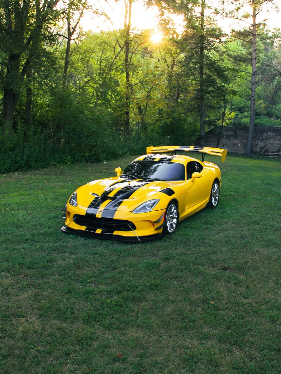 KingOfMopar1's tweet photo. Yellow jacket on the attack. 🐝 https://t.co/F1Oh6x7vZN