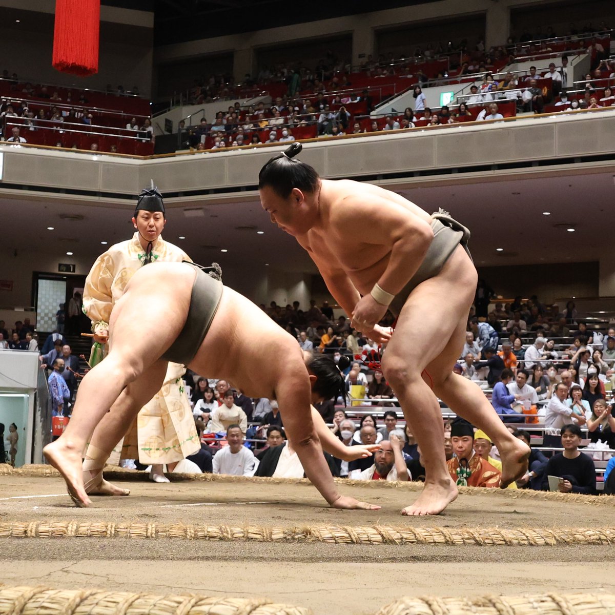 sumokyokai's tweet photo. ＜十一日目の様子＞
幕下取組
豪刃雄（5勝1敗）　肩透かし　若雅（4勝2敗）
不動豊（4勝2敗）　寄り倒し　碇潟（3勝3敗）
#sumo #相撲 #九月場所 https://t.co/WjRADsvWF9