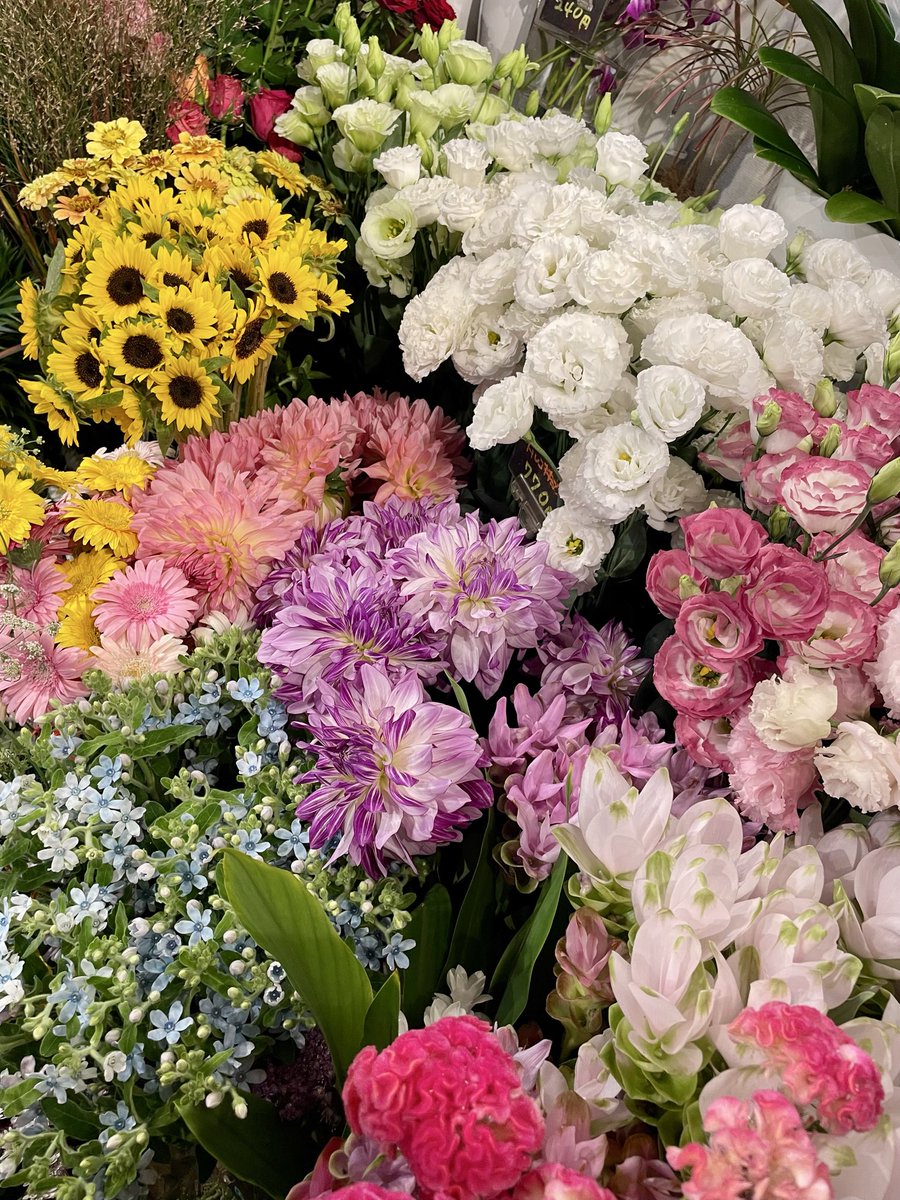 FlowerS48901380's tweet photo. 🌻✨店内に色とりどりのお花がたくさん入荷しました✨🌼
今週は台風の影響で雨ばかりですが、いかがお過ごしでしょうか？
秋のお花が続々入荷しております。
ご自宅用はもちろん、贈りものやお部屋の彩りにもおすすめです🎁✨皆さまのご来店をお待ちしております♪#花屋 #近くの花屋 #季節のお花 #水元 https://t.co/sXWATARc2n