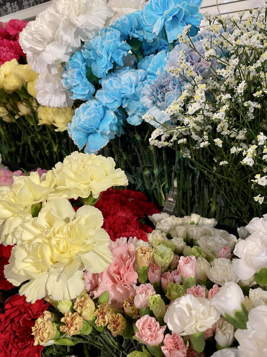 FlowerS48901380's tweet photo. 🌻✨店内に色とりどりのお花がたくさん入荷しました✨🌼
今週は台風の影響で雨ばかりですが、いかがお過ごしでしょうか？
秋のお花が続々入荷しております。
ご自宅用はもちろん、贈りものやお部屋の彩りにもおすすめです🎁✨皆さまのご来店をお待ちしております♪#花屋 #近くの花屋 #季節のお花 #水元 https://t.co/sXWATARc2n