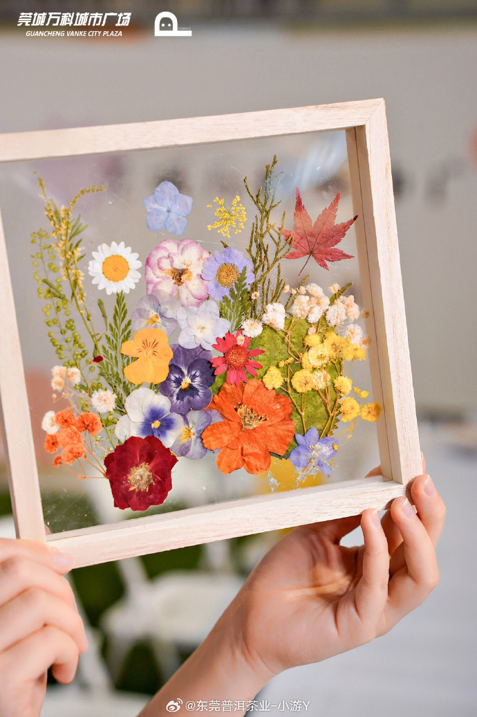 ancha_ml's tweet photo. Just thrifted an old wooden frame, turning it into a cute pressed flower wall decor this weekend! Super easy and budget-friendly DIY idea  #DIYCrafts #HomeDecor https://t.co/hk0wrykHxp