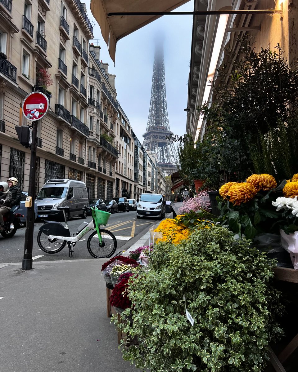 LizabethPajd's tweet photo. Paris fall https://t.co/AwDQZ8KqXo