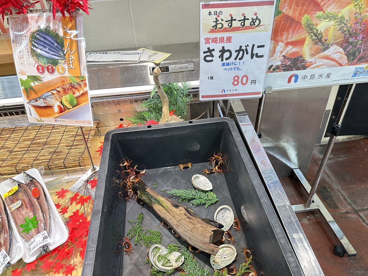 nipetom's tweet photo. うーん https://t.co/0Yq7SiDjSC