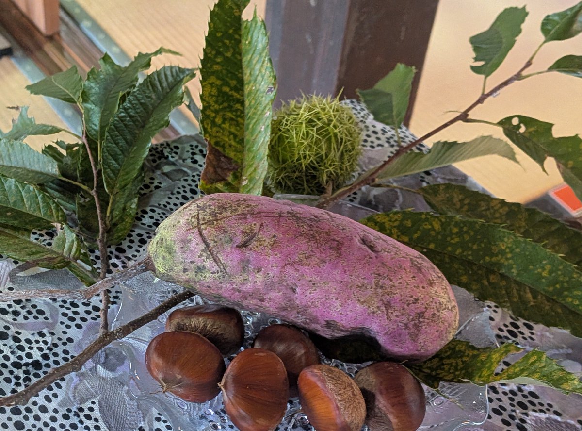 X0608345546028's tweet photo. 季節の定食　食べて
心身を満たしてきました〜
メイン　肉の野菜巻き　か、
　　　　茄子のえびしんじょ
小皿の
むかご素揚げおいしかった🙌

お店の名前　てぇてぇ亭
岡山弁　たいといて🤭

#作州美作ふるさと茶屋
#てぇてぇ亭
#古民家 https://t.co/2dgjesGyCm