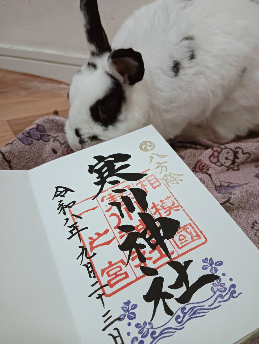 aromatica19's tweet photo. 秋分の日。寒川神社で、春分秋分の日限定で貰える御来光守りを求めて、参拝してきた😊✨
お守りは大雨の中、約1時間並び、拝受（ユキ🐰の分も）
御朱印帳片面の最後は寒川神社で貰うことに✨
八方の災難から、どうぞ私達をお守りください👏
#寒川神社 #御朱印巡り https://t.co/FZDGvKQweC