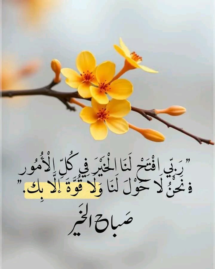 bd_bas14702's tweet photo. @VIP999888881 https://t.co/5jI6xS1ViS