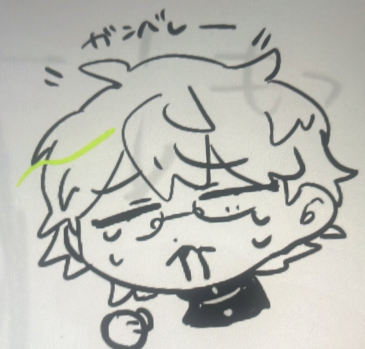 siomeshi81's tweet photo. かいちょーーーー応援してーーーーほんまに無理ーーーーー https://t.co/Lu2xW6Ts9k