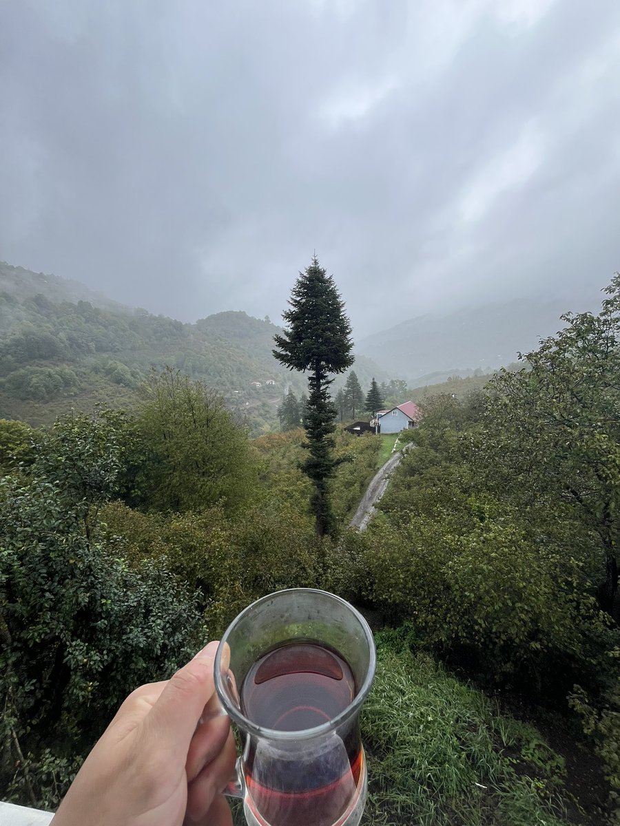 HayriyeImak's tweet photo. Sis dağı örter, huzur insanın içini.🍃☕️🤍 https://t.co/QpyWNV0Glj