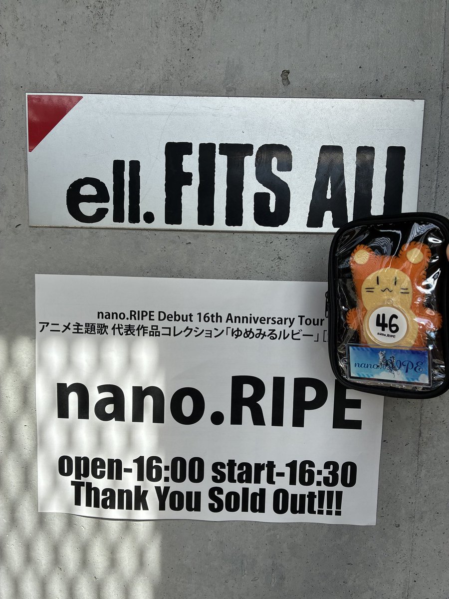 14104301's tweet photo. nano.RIPE

ちびハムぬいと声出したり、飛び跳ねたりと
まるでアイスタのゴール裏の様に楽しかった

花咲くいろはきっかけで、
nano.RIPEさんや金沢の街を好きになったけど、
清水、金沢と移住したい街が増えて嬉しい

またハナノイロのフルコーラスに応えられる様に発声鍛えよう💪

#ハムぬい日記 https://t.co/2pJrFwiEkV