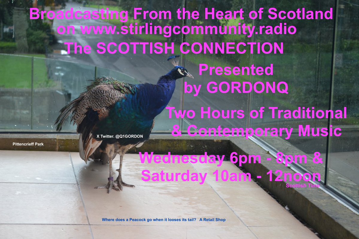 Q1Gordon's tweet photo. Proclaimers Simple Minds Deacon Blue Texas Emile Sandi Paolo Nutini Laura Silverstone Jamie Rafferty Jack Savoretti Jana Varga, Hamish Napier Jutebox Duncan Chisholm Old Blind Dogs Maria Quinn Bison Hip Iona Fyfe Liv Dawn Siskin Green Maeve Gilchrist Meallan Runrig Terje Gewelt https://t.co/K67WSSj2Rg