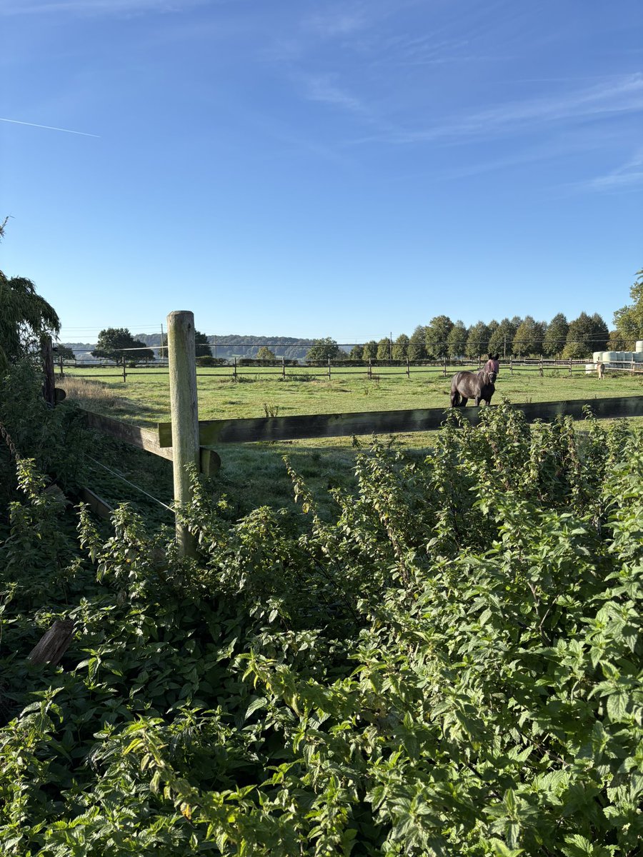 AndreasCarduck's tweet photo. Deutschland braucht keinen Krieg. Die Natur zeigt uns schon jetzt, wie verletzlich wir sind. https://t.co/c6RKMYwOwC