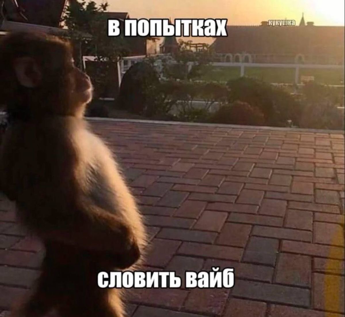 kalbinur_be's tweet photo. я в твиттере: https://t.co/cVVTVKBdW7