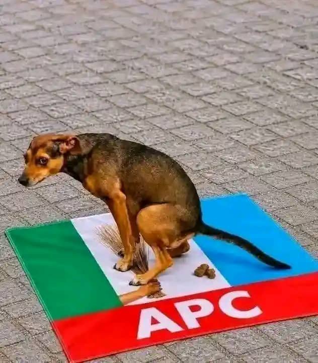 Oakofficials's tweet photo. @dammiedammie35 Tinubu is fixing Nigeria 👇 https://t.co/KiKCtMCEHj