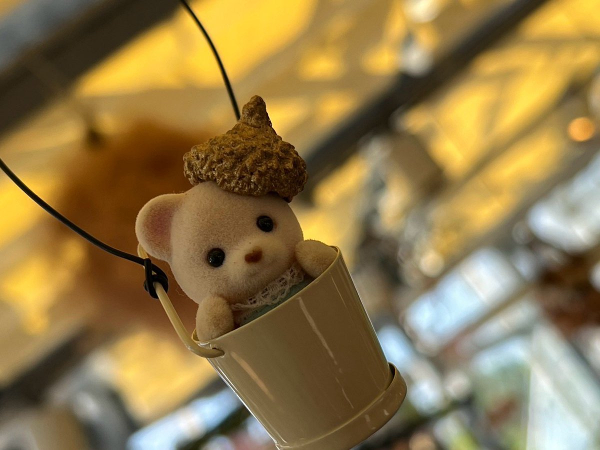 bebebemi's tweet photo. https://t.co/UKzdMtdRlv