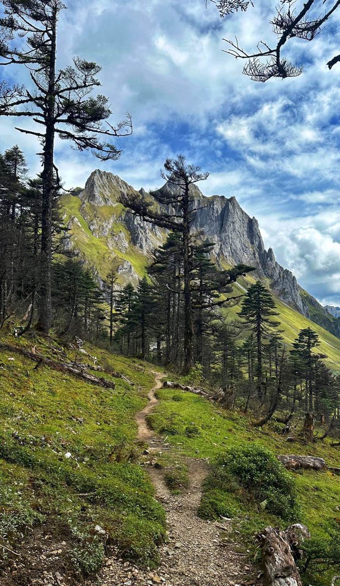 aelwd701671v1's tweet photo. A wisp of wind blows across the baked slopes, carrying a faint scent of morning warmth. https://t.co/ReBMCpH3w8