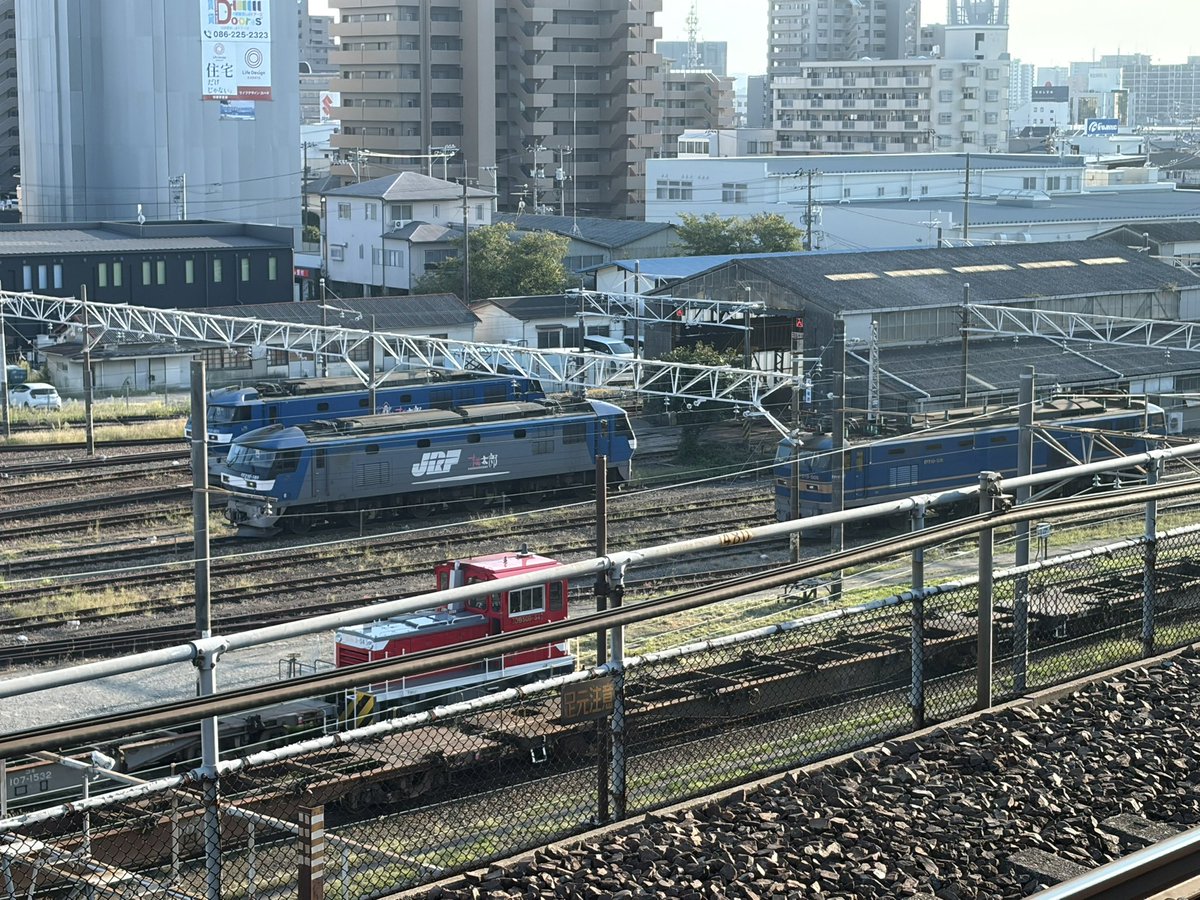 mk_comsal's tweet photo. 岡山に原色のデーテンなんていたっけ？
あと、しれっとDBがおる https://t.co/ngT9l8Xb68