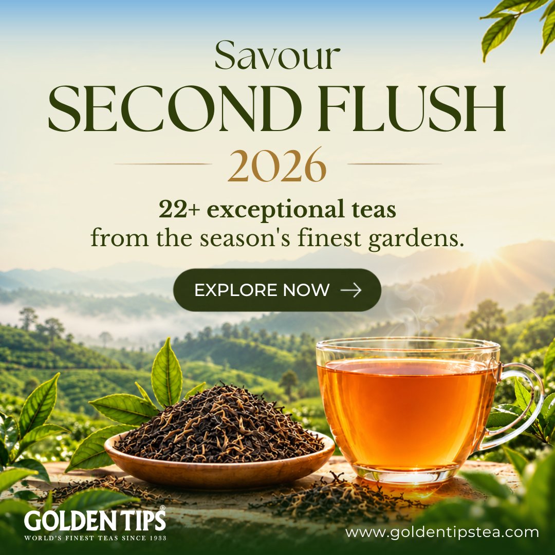 GoldenTipsTea's tweet photo. Discover the richness of Second Flush 2026 — a curated collection of 22+ exceptional teas from some of the season’s finest gardens.
👉 Shop Now: https://t.co/R1CXS7UpvL
#GoldenTipsTea #SecondFlush #FreshArrival #Teas https://t.co/wlVuIzfIfD