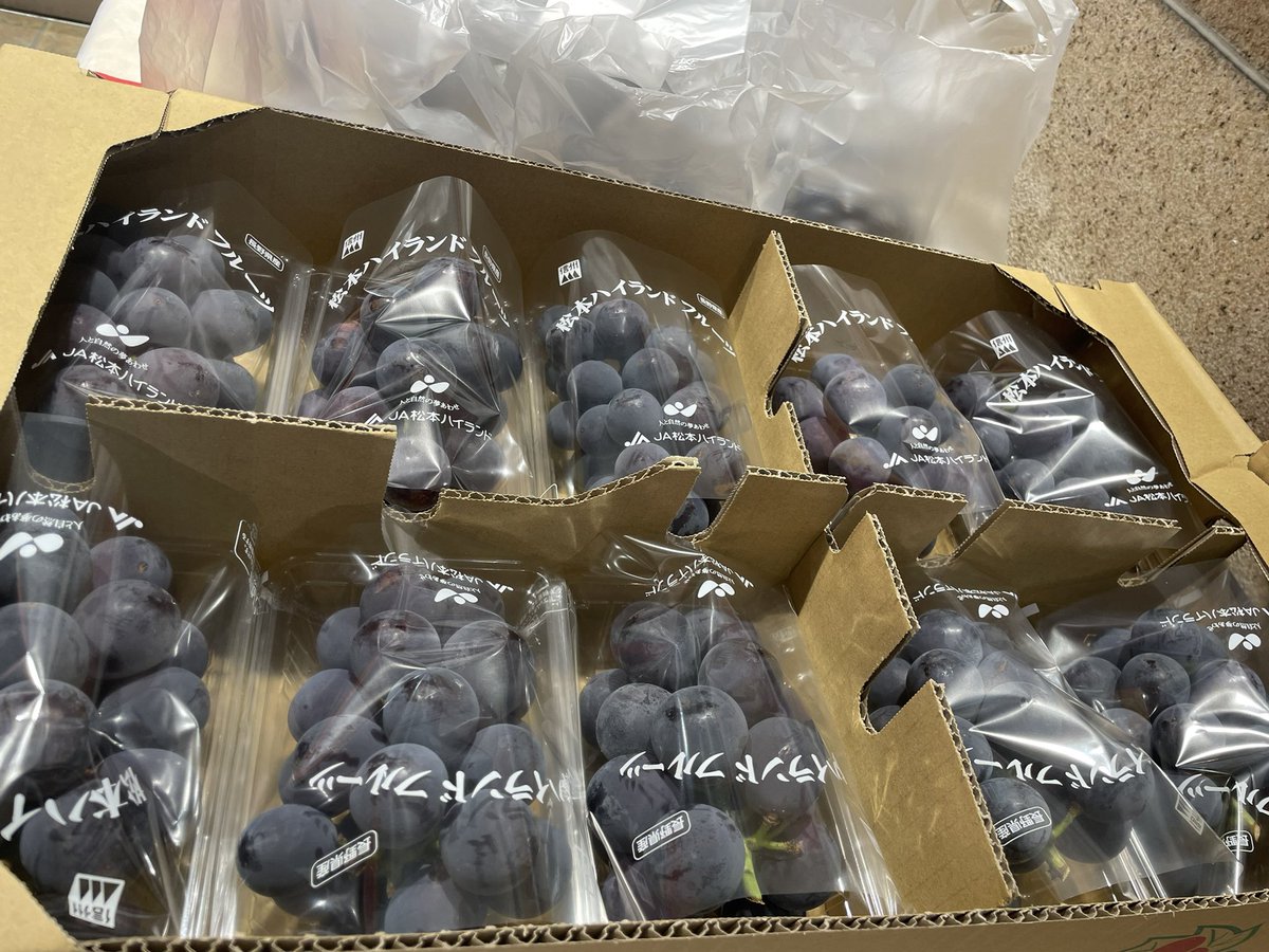 gets_hg's tweet photo. シルバーウィーク最終日

汁BARは皆様、揃えられましたでしょうか？
最近のスマスロなんてだいたいBAR揃いしたら汁出ますもんね。

え？あ、銀色のシルバーですの？？？

ってことで、#ウイング津店 で巨峰の特売。

17:00抽選スタート‼️  PR https://t.co/9U2FtbXwCJ
