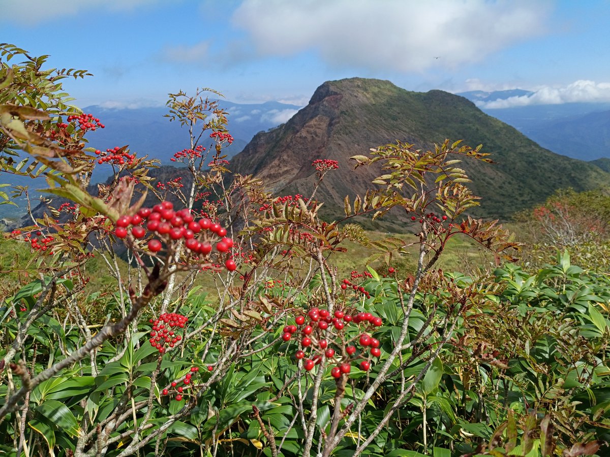 ptc2's tweet photo. 【日本百名山　磐梯山　1816m】

うつくしま・ふくしまへ。山は秋の雰囲気が出てきました。山頂では「写真とろうか？」と気軽に声かけていただき感謝。黄金色の田んぼと山々、湖の景色が美しい。晴天に恵まれ気持ちのいい山歩きとなりました。

#小川泰裕
#トレイルハイク
#山旅
#日本百名山
磐梯山 https://t.co/KpbjBJGXbD