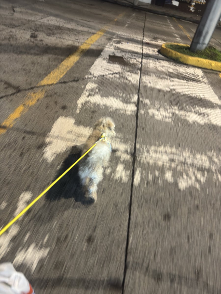 MirandaQuezz's tweet photo. Tú y yo por siempre 🥰 https://t.co/UTHgMTrgPu