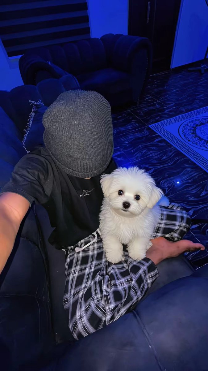 Gtbiee's tweet photo. us ❤️🐶 https://t.co/YOg9hXH51Q