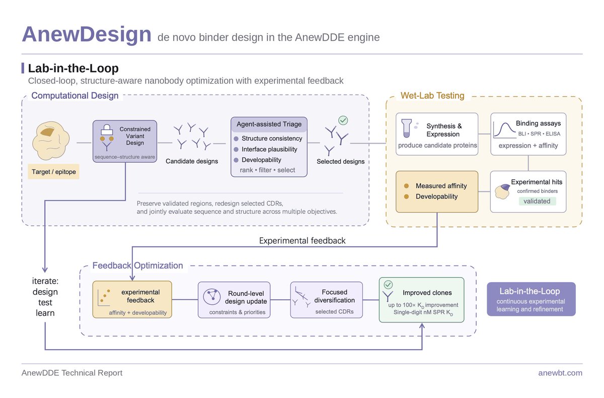 AnewOffcial's tweet photo. One nanobody campaign, run by AnewDesign as a closed loop:

3,092 candidates → 287 clusters → 50 sent to the bench
7/50 under 400 nM by SPR
150 clones total → 16 at single-digit nM

Wet-lab results feed the next design round, not a final verdict. https://t.co/CdvqLh17Sl