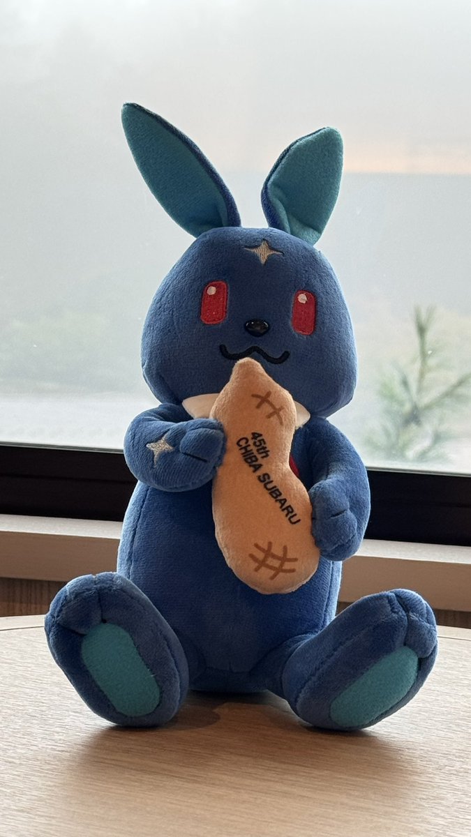 macha317's tweet photo. 本日、#富士でスバルの秋祭り に夫と遊びに行って来ました。
地元が台風で大変な時にごめんなさい。
　
今回、初めてお会いしたnaoさん( @nao57833463 )、大事な #チバル を譲っていただき本当にありがとうございます😍
わが家の #フォレスターSJ5 か、#シフォンカスタム で一緒にドライブします❣️ https://t.co/ZVVcKlk8TR