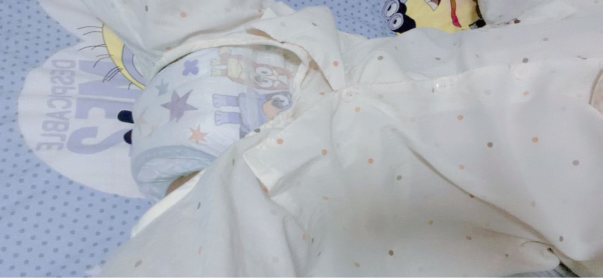xiaoxii929's tweet photo. 到下午啦 #abdl https://t.co/dJZa3g0jBp