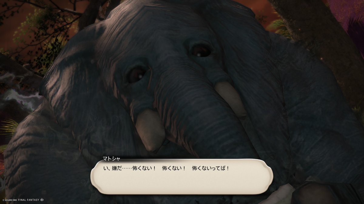 hkskprd's tweet photo. ここあまりに鬱展開過ぎてびっくりした
 #FF14 https://t.co/n6D1n8Vpk0
