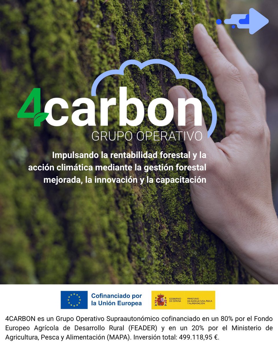go_4CARBON's tweet photo. 🎯4CARBON es un Grupo Operativo supraautonómico cuyo objetivo es facilitar el acceso de propietarios y gestores forestales al mercado voluntario de carbono e impulsar una gestión forestal que contribuya a la acción frente al cambio climático.

👇¿Quién está detrás de 4CARBON? https://t.co/UbxBKBAh4n
