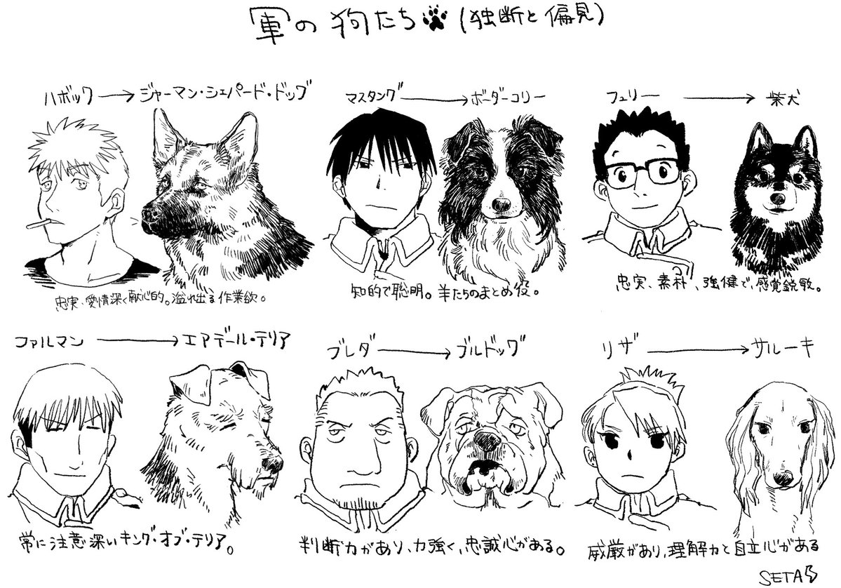 Grayghost_1234's tweet photo. 独断と偏見🐾 https://t.co/3sZk5OeJ3P