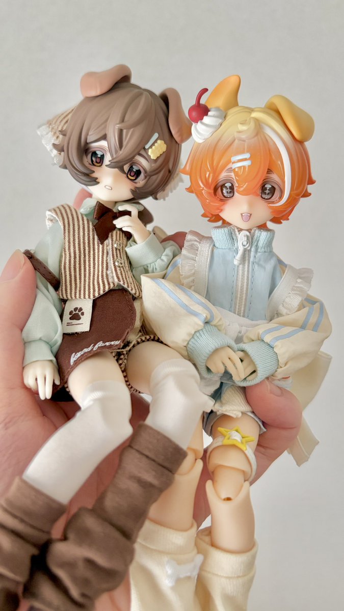 sios_shake's tweet photo. お迎えした…かわいい〜😭 https://t.co/A3SgS8KI3P