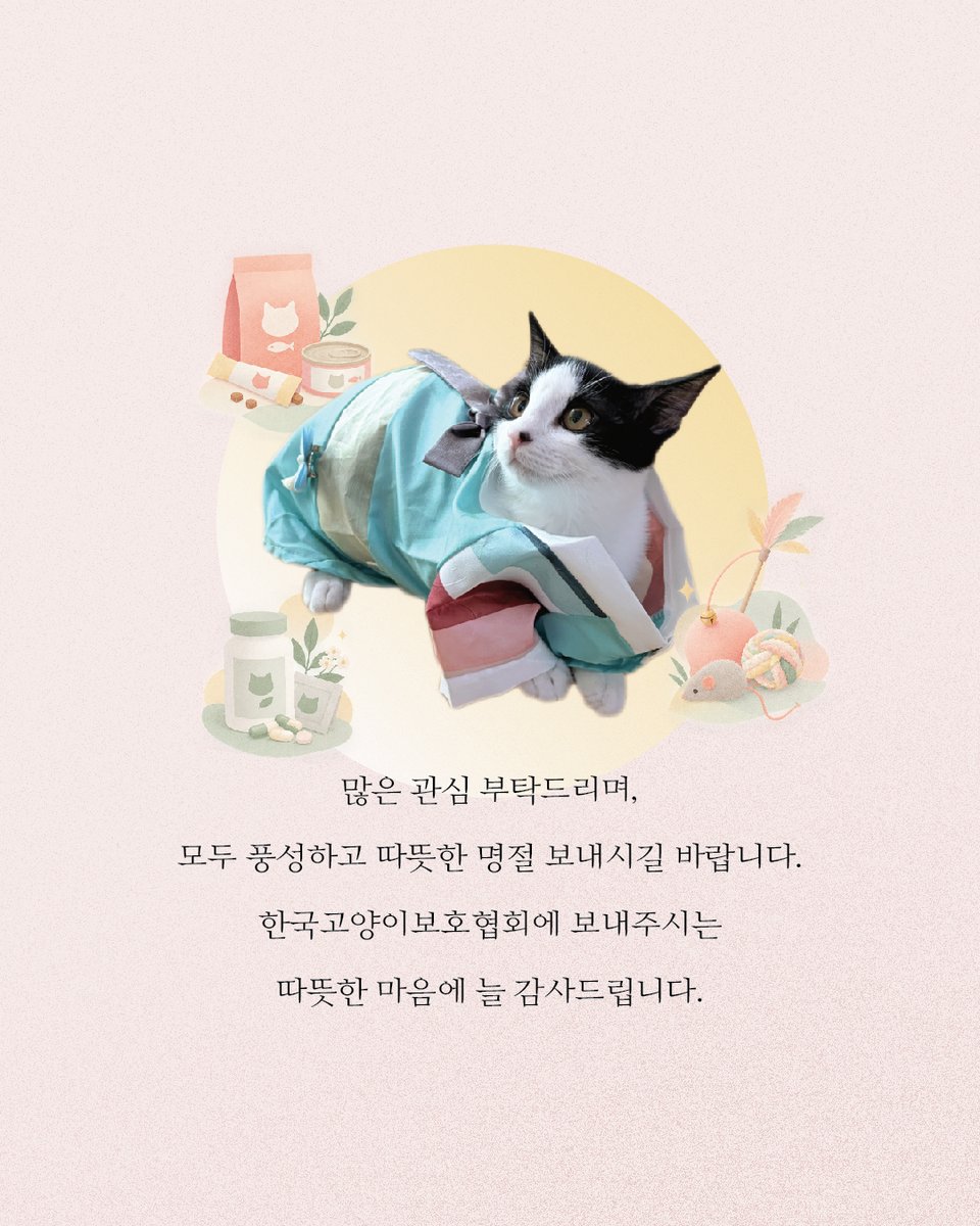 kopc2005's tweet photo. 가족을 기다리는 신입냥, 벌꿀, 오소리, 칠칠이, 둥둥이의 첫 명절, 복주머니를 따뜻하고 풍성하게 채워주세요!
https://t.co/fMhRjFfcrY https://t.co/mjVeoCetVA