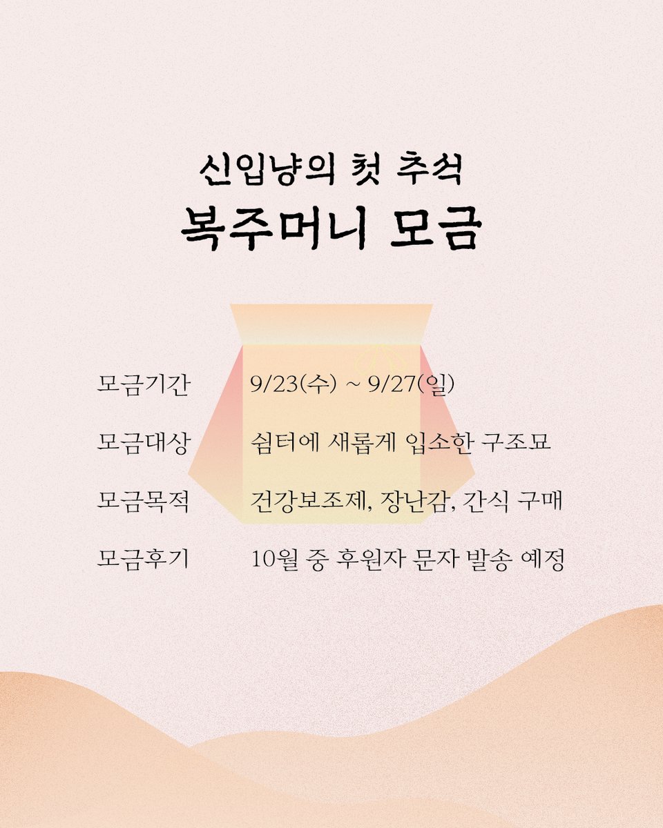 kopc2005's tweet photo. 가족을 기다리는 신입냥, 벌꿀, 오소리, 칠칠이, 둥둥이의 첫 명절, 복주머니를 따뜻하고 풍성하게 채워주세요!
https://t.co/fMhRjFfcrY https://t.co/mjVeoCetVA