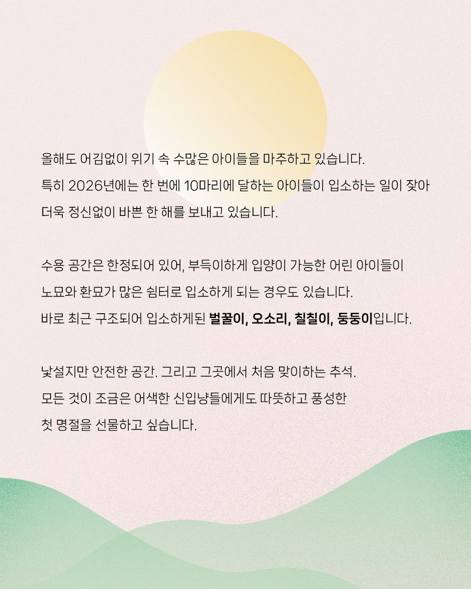 kopc2005's tweet photo. 가족을 기다리는 신입냥, 벌꿀, 오소리, 칠칠이, 둥둥이의 첫 명절, 복주머니를 따뜻하고 풍성하게 채워주세요!
https://t.co/fMhRjFfcrY https://t.co/mjVeoCetVA