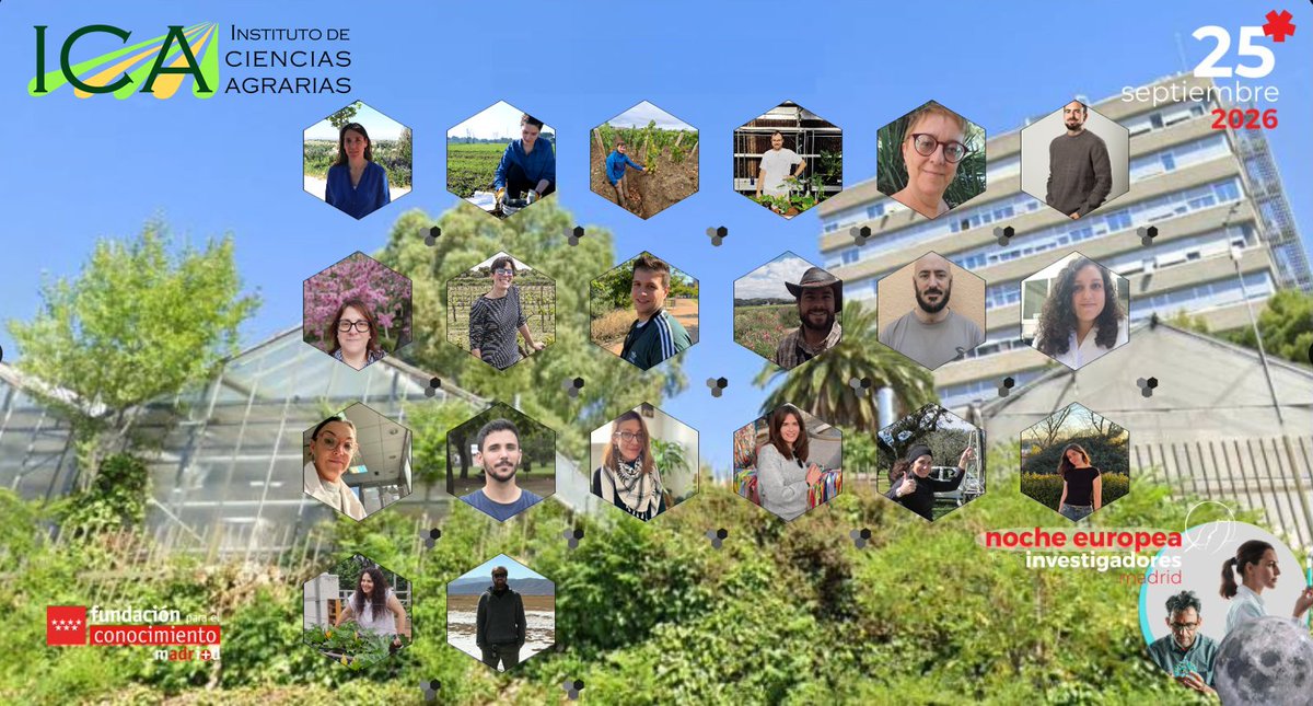 ICA_CSIC's tweet photo. Un año más estaremos en la XVII edición de la #LaNocheDeLosInvestigadores #EuropeanResearchersNight  
Te esperamos el viernes 25 de septiembre, 17:30.
#CulturaCientífica @madrimasd
Aquí tienes todos los detalles 👉https://t.co/n79Zna2UTn https://t.co/ByWXMoLbIQ