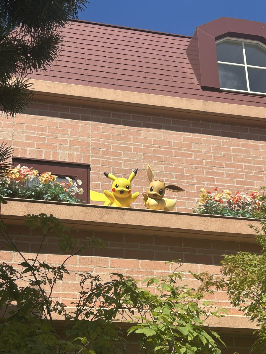 tamatarou_5's tweet photo. 遂に念願のポケパークに！！！！
夢のような時間でした！

ゲームやアニメで見ていたあのポケモンの世界が確かにここにあった！！

ありがとうポケパークカントー、ありがとうポケットモンスター

#ポケモン 
#ポケパークカントー https://t.co/HWX729bjby