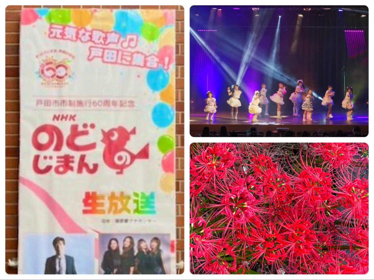 i_dqz6's tweet photo. 仙台から帰った翌日も推し活&amp;孫活🌟
心はhappy❤️体はヨレヨレ😫
今日はお墓参り💐🙏して充電完了💪
明日からまた楽しむぞ🤗 https://t.co/e1OW3gEjmO