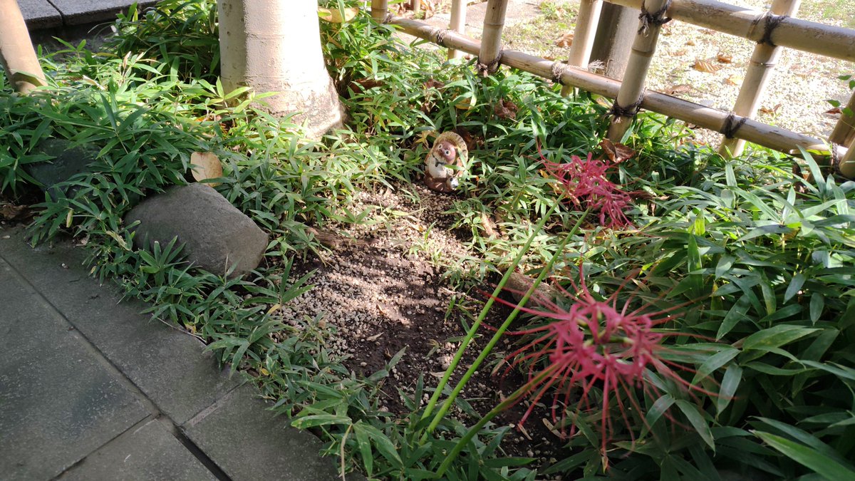 sky01hd's tweet photo. 昨日の柴又 https://t.co/otjsg4BQQC