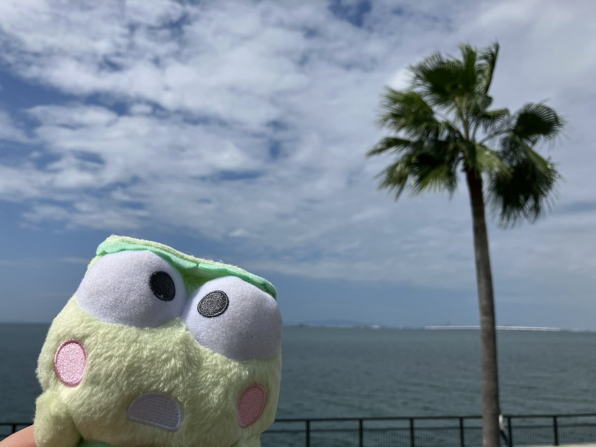 keroppifam's tweet photo. けろっぴとペックルの海の旅②

#ぬい撮り  #サンリオ推しキャラ 
#サンリオ好きな人と繋がりたい 
#はぴだんぶい https://t.co/gbgFeyGsh3