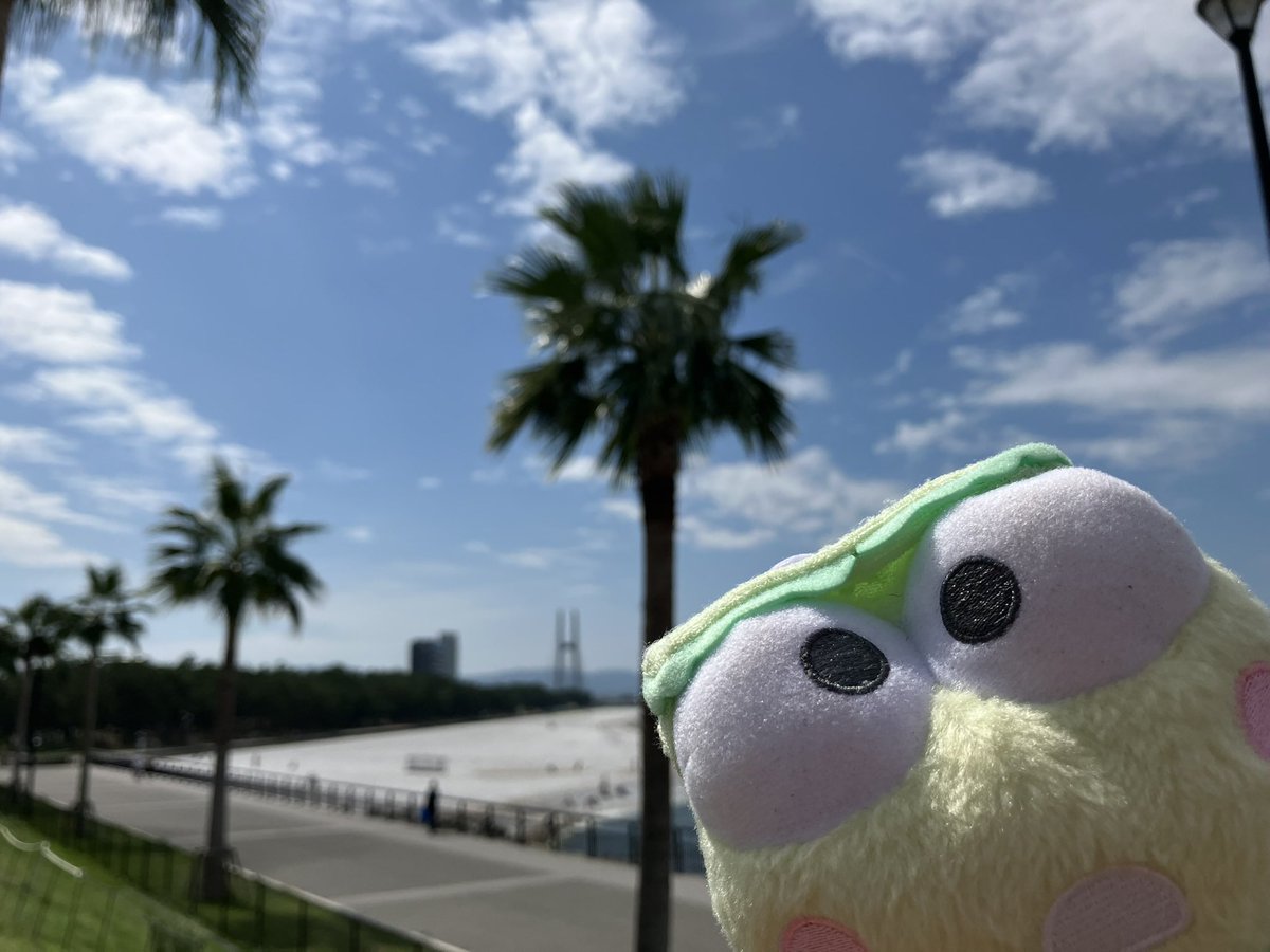 keroppifam's tweet photo. けろっぴとペックルの海の旅②

#ぬい撮り  #サンリオ推しキャラ 
#サンリオ好きな人と繋がりたい 
#はぴだんぶい https://t.co/gbgFeyGsh3