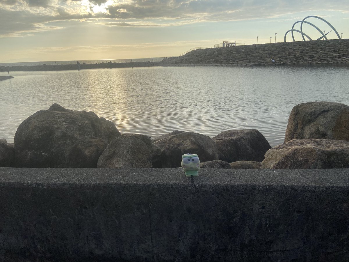 keroppifam's tweet photo. けろっぴとペックルの海の旅③

#ぬい撮り  #サンリオ推しキャラ 
#サンリオ好きな人と繋がりたい 
#はぴだんぶい https://t.co/jOaoP44blX