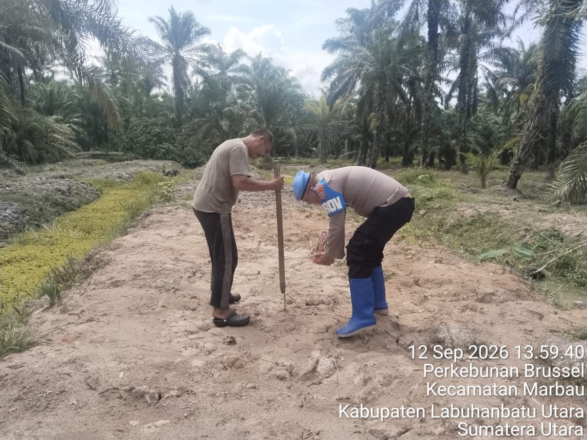 polsekmarbau's tweet photo. • Mendukung Program Pemerintah yakni Ketahanan Pangan, maka seluruh Personel Polsek Marbau mengajak masyarakat untuk menggalakkan penanaman jagung di wilayah hukum Polsek Marbau 🌽🇲🇨

#POLRESLABUHANBATU
#POLDASUMUT
#GUGUSTUGAS
#KETAHANANPANGAN
#POLRI https://t.co/IxmsMdcyES
