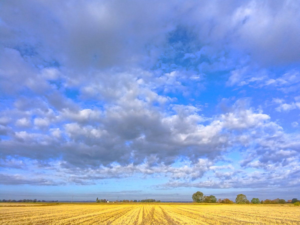 chris_alpacas's tweet photo. Good morning from the Fens and the #viewfrommywindow. I had an interesting day yesterday, went to hospital for a gastroscopy. It was the most pleasant experience, but I got through it just!  @ChrisPage90 @WeatherAisling @metoffice #LoveUKWeather https://t.co/xsI5G2kuGe